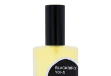 Y06-S-Blackbird